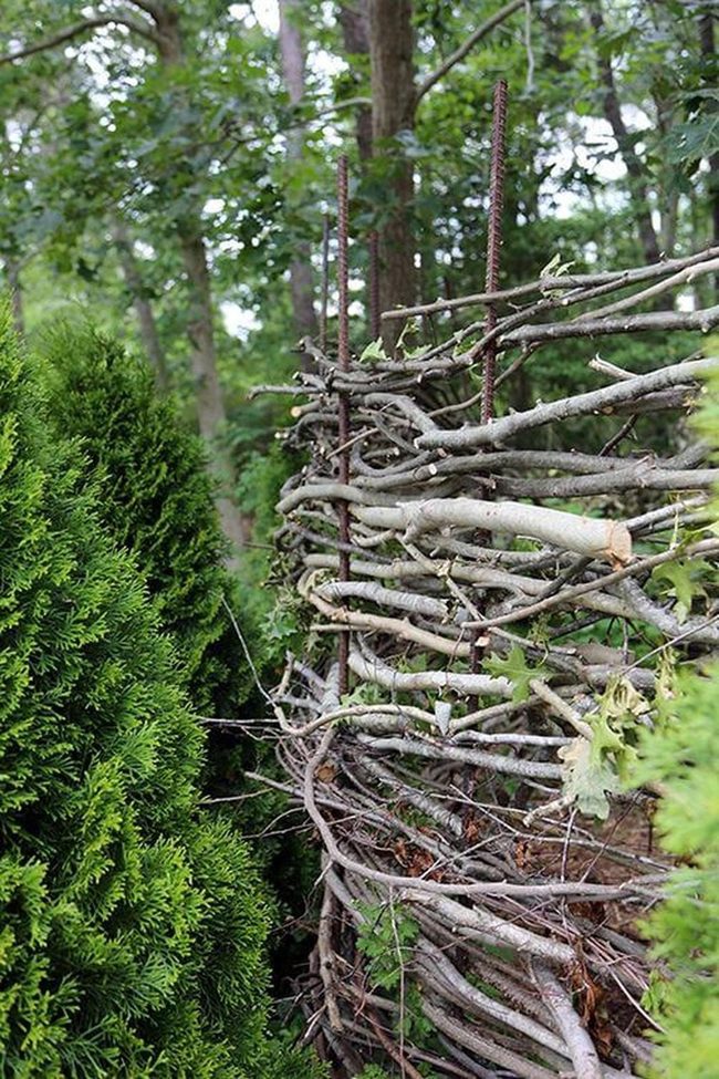 Natural Branch Garden Screens