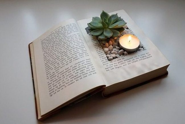 Old Books Green Living