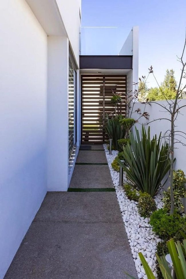 Concrete Slabs Green Plants Sunlight