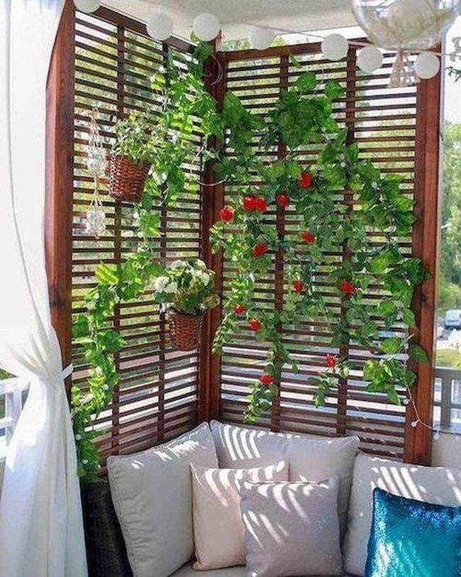 Climbing Vines On Wooden Trellis