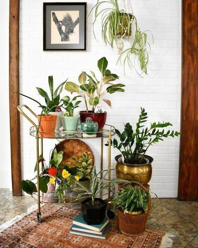 Metallic Plant Cart With Mobile Greenery
