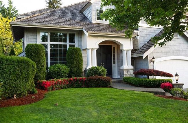 Layered Shrubs, Polished Lawn