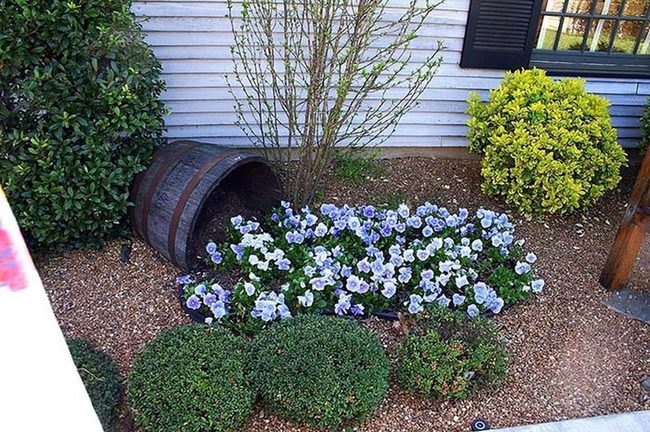 Weathered Bucket Blooms Garden Corner