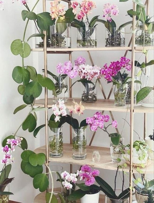 Pink And White Orchids On Wood