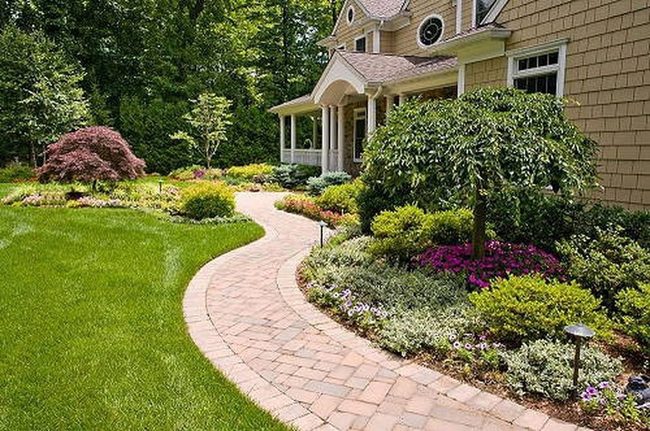 Stone Paths With Earthy Depth