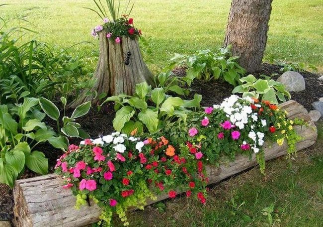 Hollowed Log Planters Front Yard