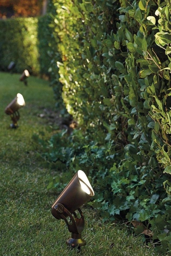 Nighttime Garden Luminescence Reveals Hidden Beauty
