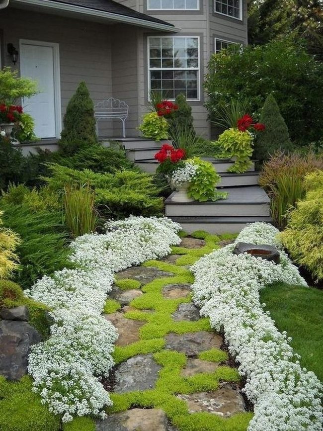 Red Blooms Yellow Pots Gray Home