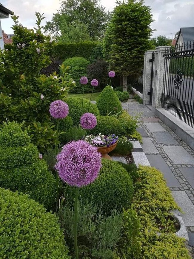 Purple Flowers, Green Sanctuary Garden