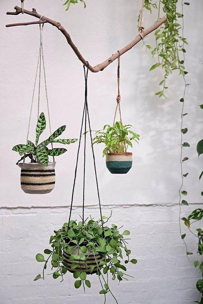 Suspended Green Walls With Woven Baskets