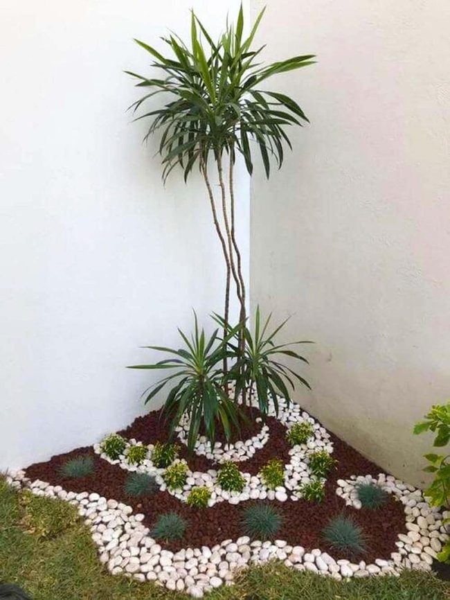Soaring Palms With Layered Succulents