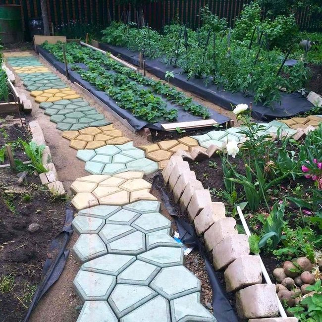 Hexagonal Stones Through Green Vegetables