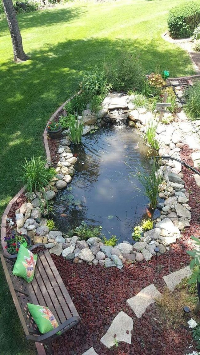 Serene Water Garden With Stone Edges