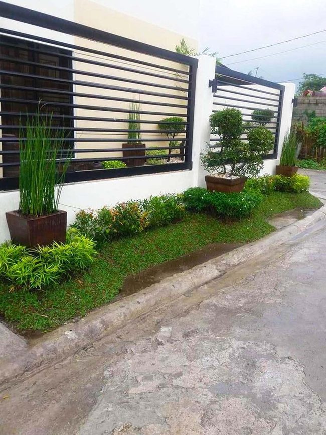 Green Vines Meet Modern Lines