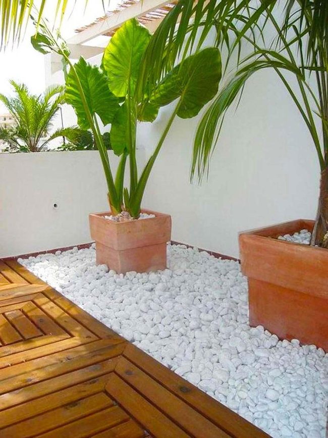 Terracotta Pots Green Urban Escape