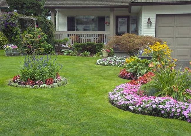 Colorful Annuals Meet Structured Green