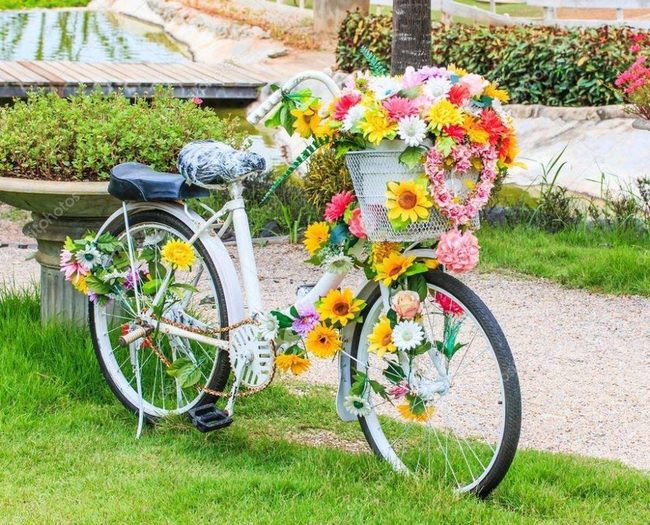 White Bicycle, Endless Colorful Blooms