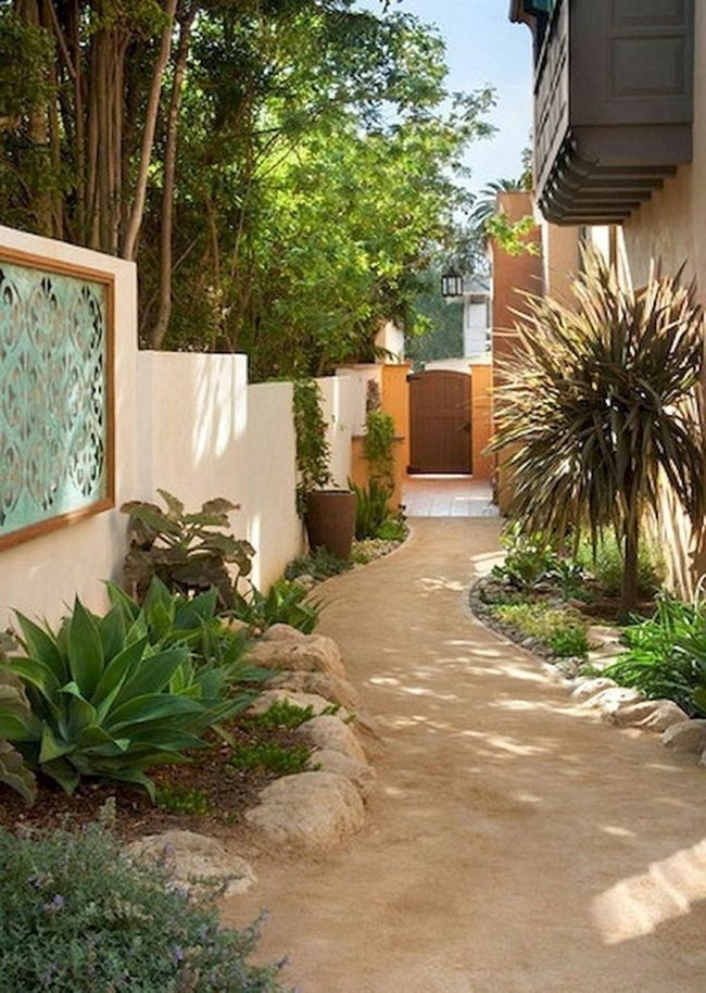Architectural Succulents In Stone