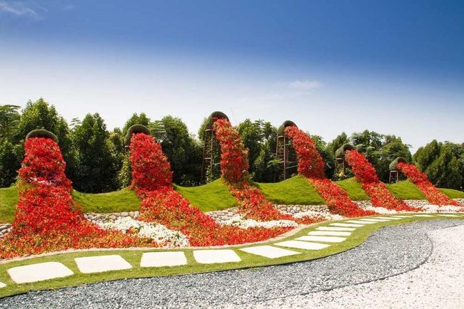 Cascading Petals Transform Outdoor Spaces