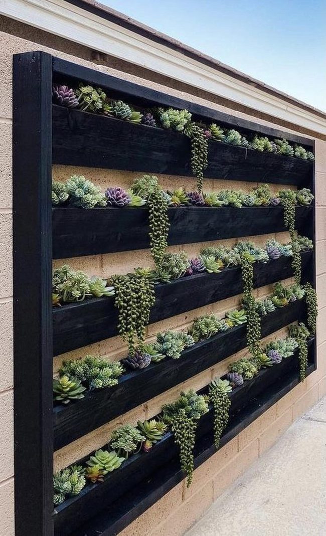 Staggered Wooden Shelves Succulent Wall