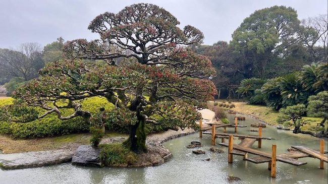 Sculpted Trees And Arching Bridges