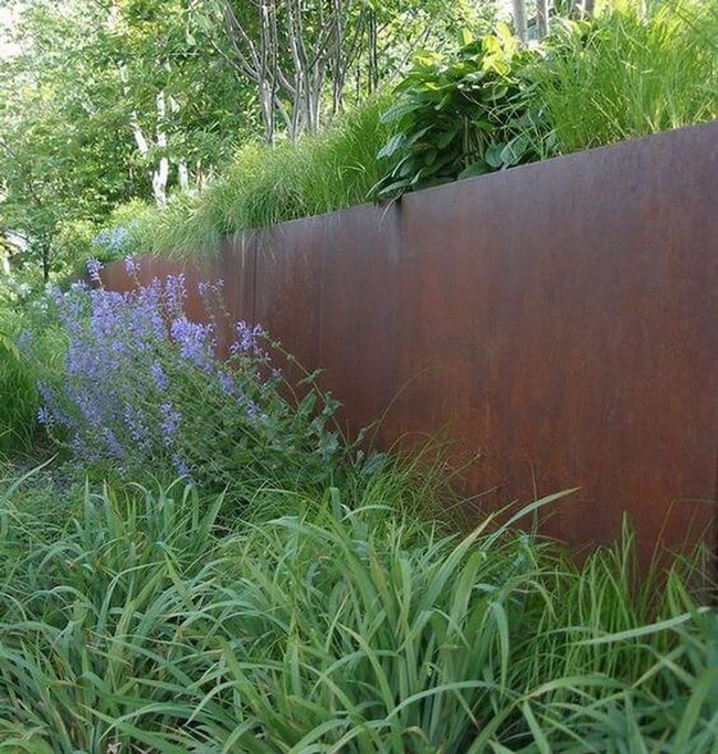 Steel Frames Meet Wild Greenery