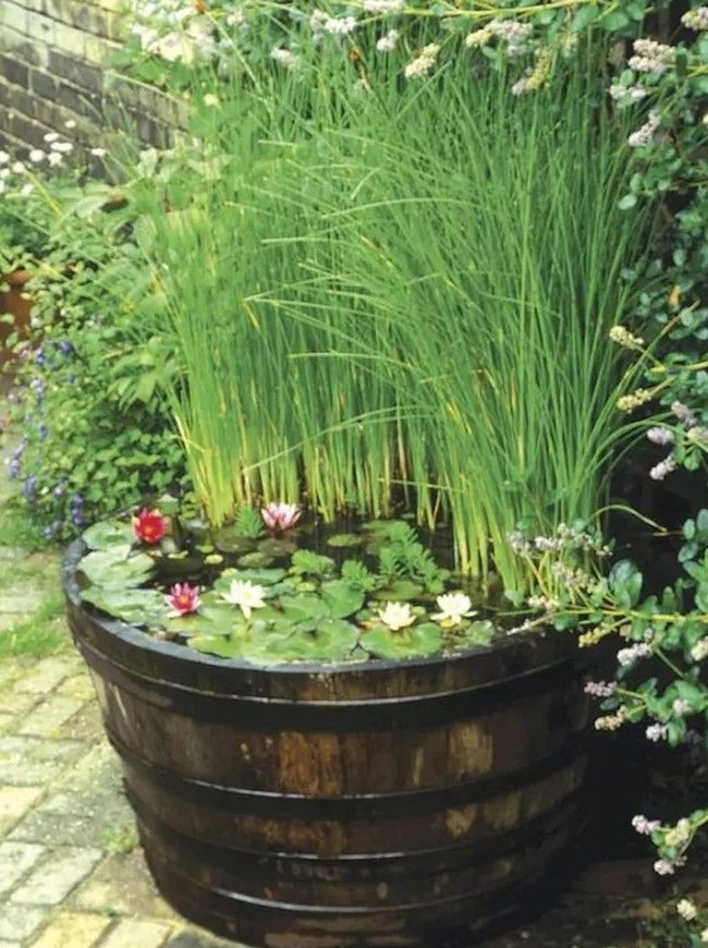 Dark Wooden Barrel Water Gardens