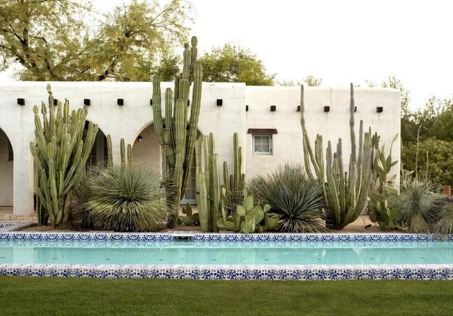 White Walls Blue Water Desert