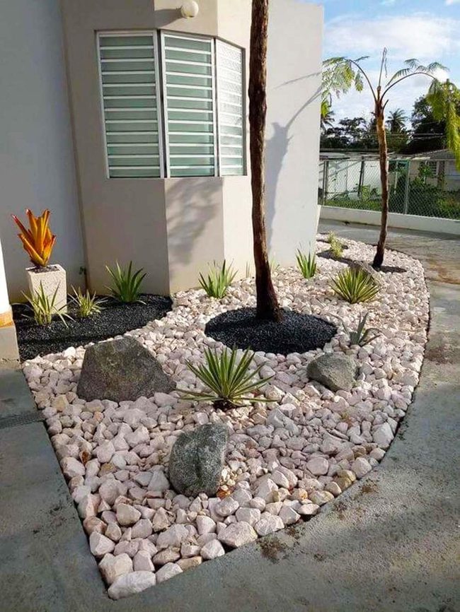 Sculptural Agaves White Pebble Garden