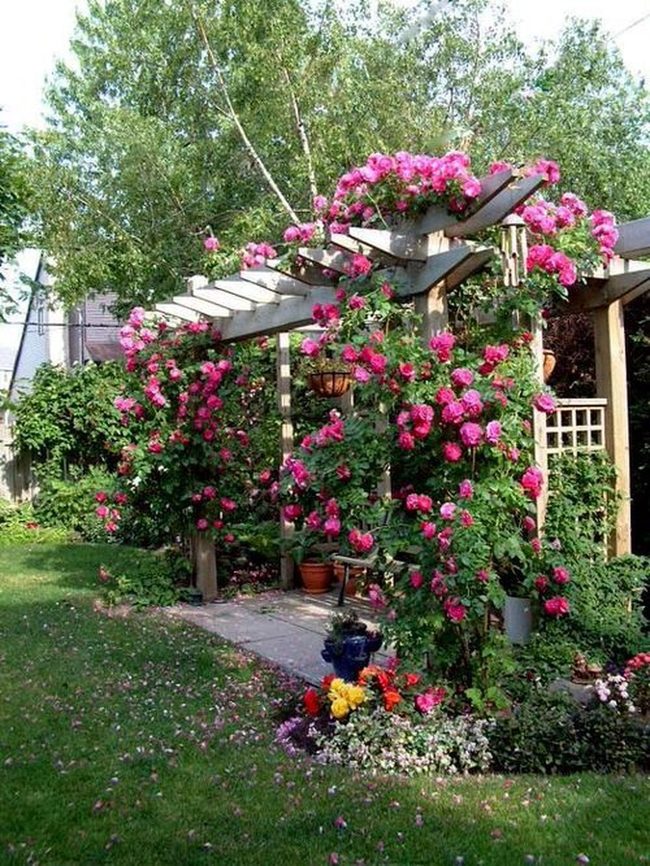Flowering Vines Over Wooden Beams
