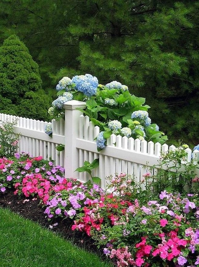 Pink Purple Blooms Meet Blue Hydrangeas