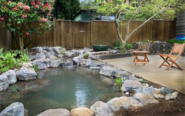 Backyard Pond Escape
