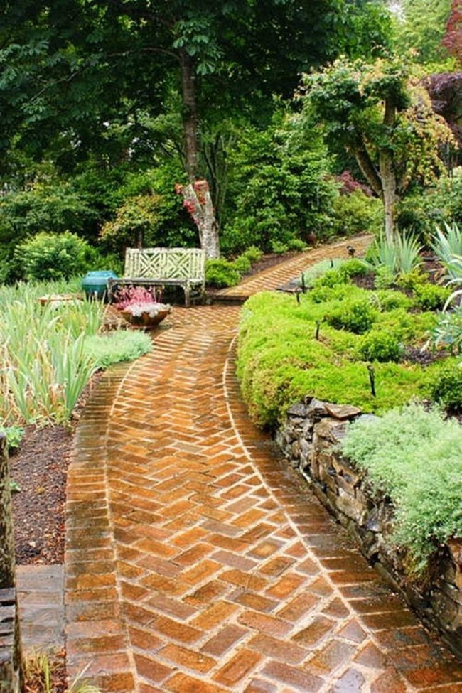 Terracotta Pathways Through Green Jungle