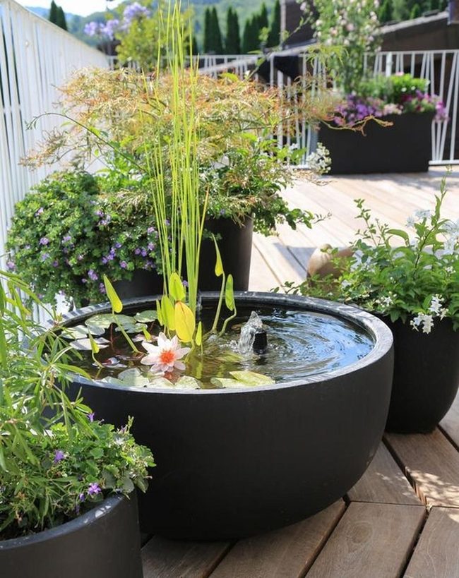 Black Planters Among Lush Green