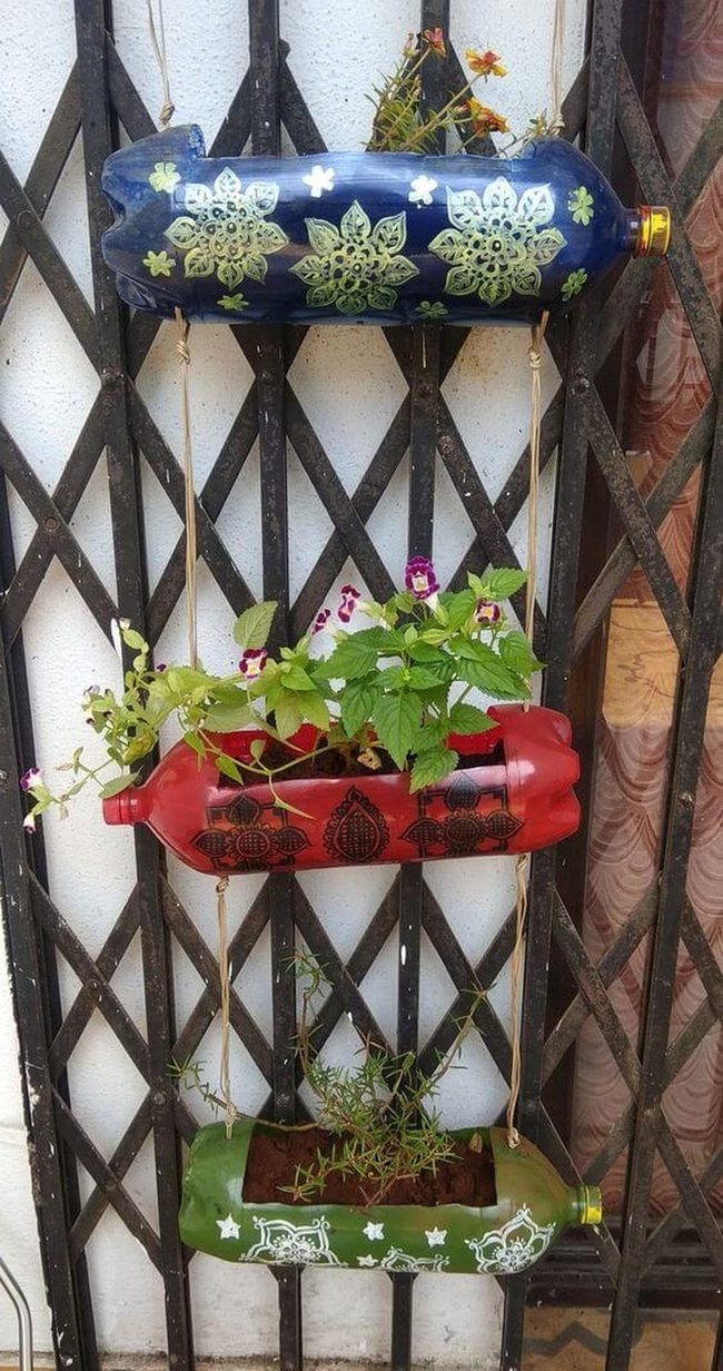 Recycled Bottles, Living Garden Walls