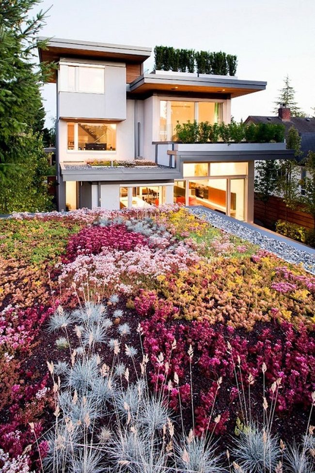 Colorful Flower Beds Year-Round