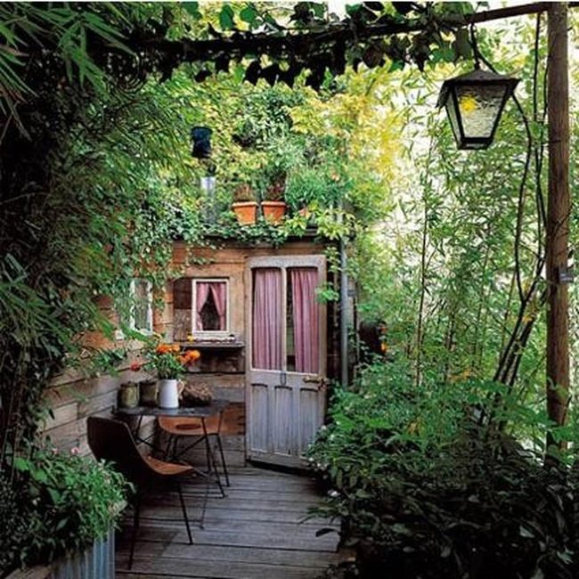 Green Plants Wooden Porch Retreat