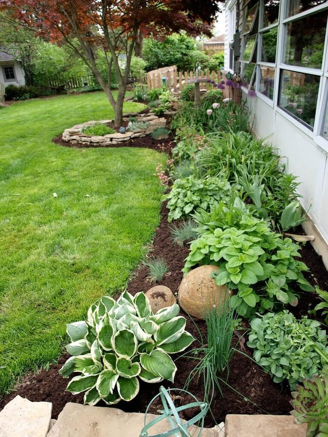 Brown Cobbles With Edible Herbs
