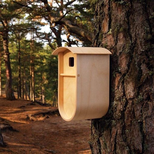 Light Wood Bird Shelter