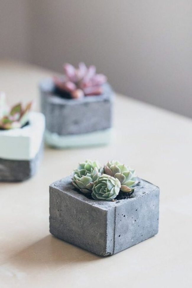 Concrete Blocks Meet Succulent Garden