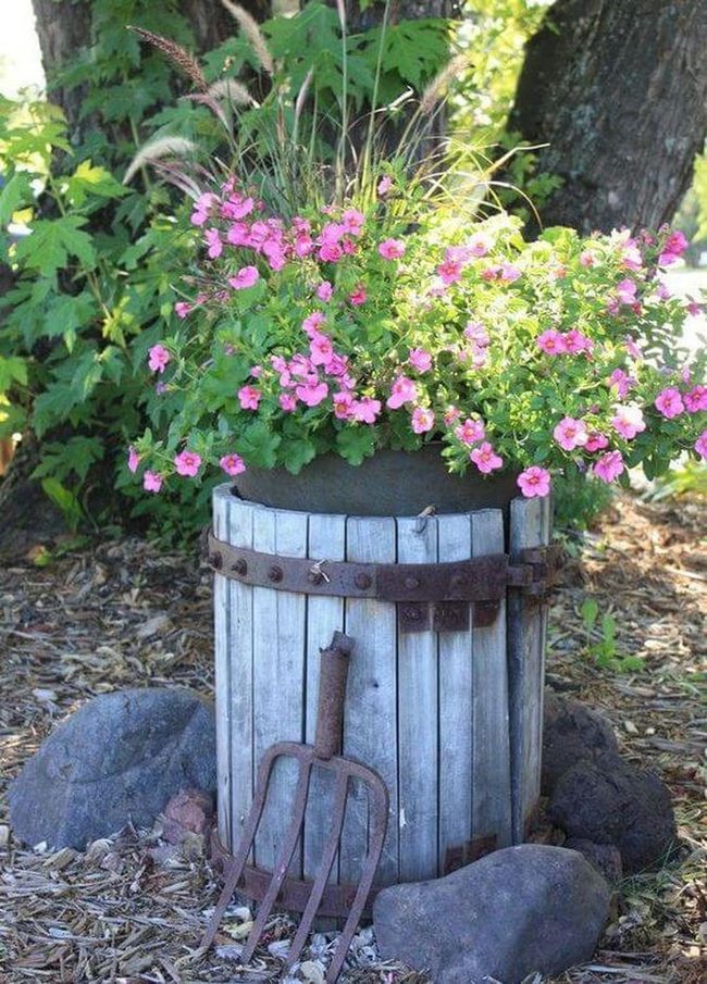 Weathered Barrels Bursting With Blooms