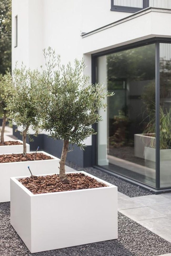 White Planters Frame Modern Minimalist Home