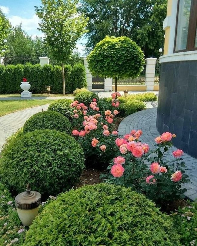 Pink Roses Against Dark Stone Walls