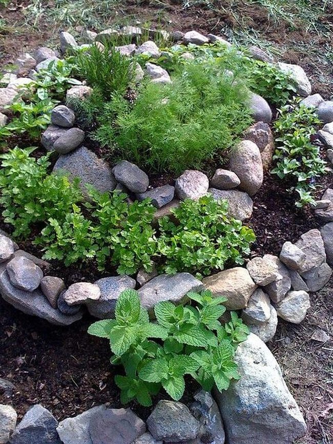 Stone Spiral Herb Garden