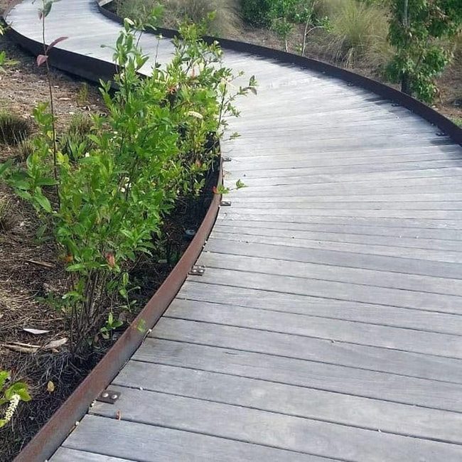 Wooden Path Through Living Green