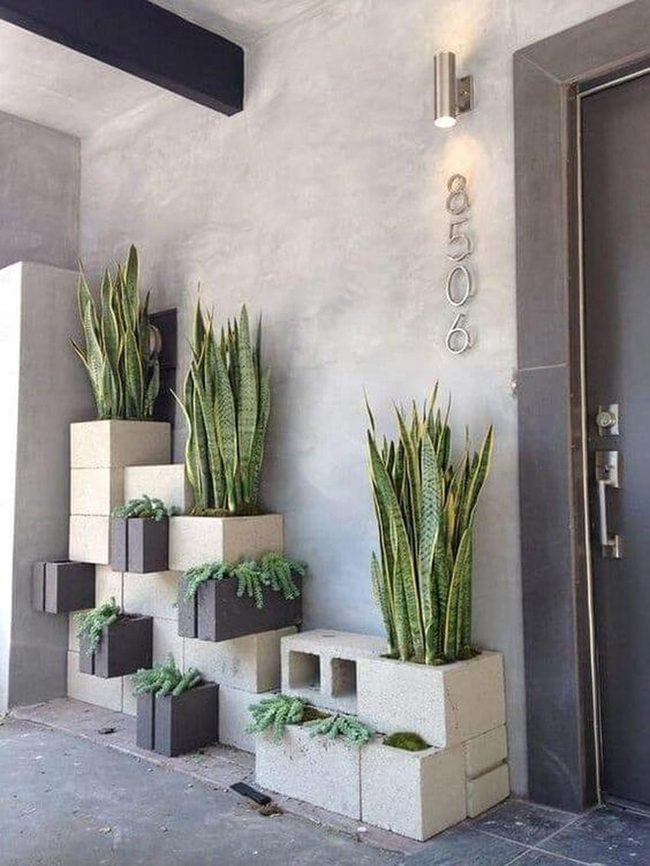 Concrete And Greenery Modern Entry
