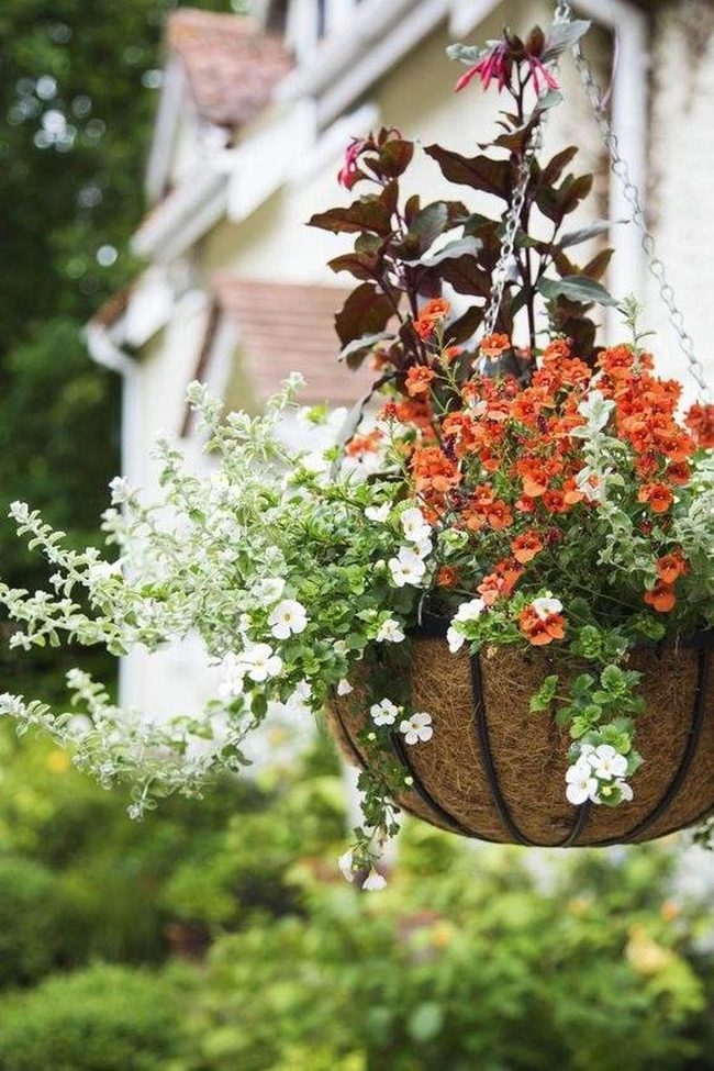Orange And White Cascading Flower Baskets