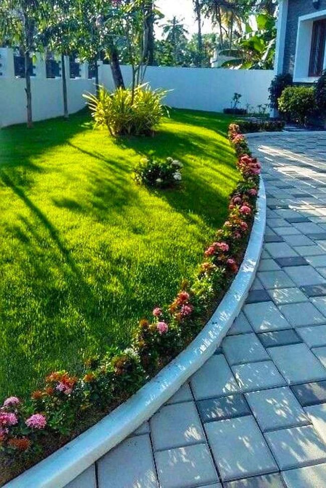 Pink Crimson Blooms, Green Garden Path