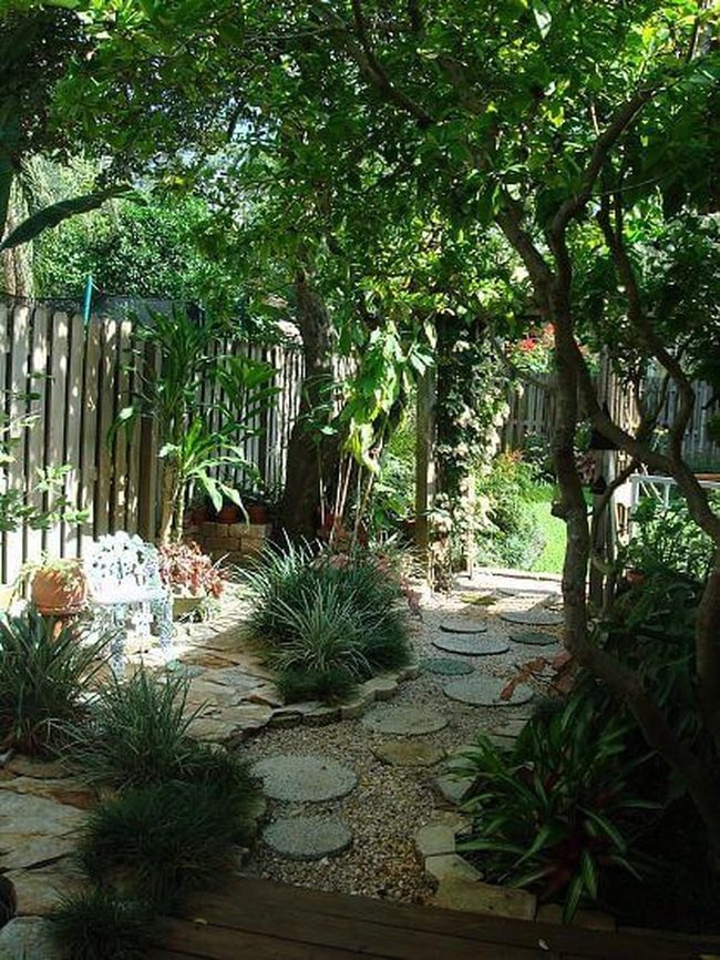 Stone Path Through Living Walls