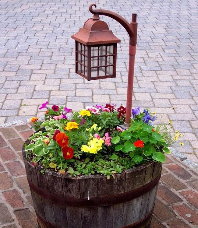 Weathered Barrel Bursting Bright Flowers